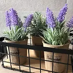 Meni Sweet Apartamento *