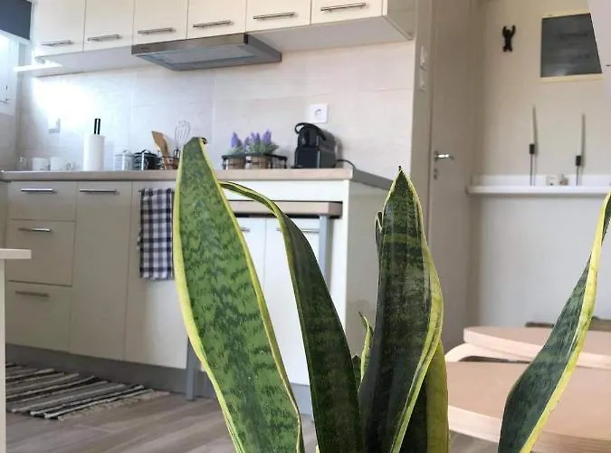 Meni Sweet Apartament