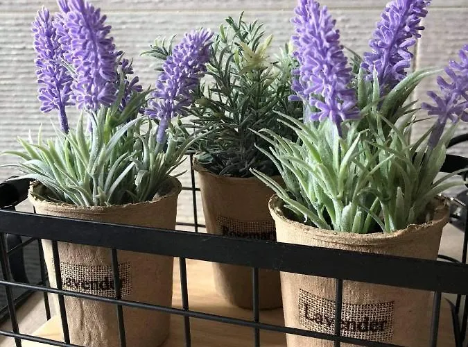 Meni Sweet דירה *